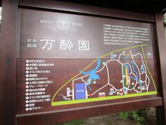 マンズワイン日本庭園「万酔園」