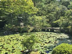 【金地院／鶴亀の庭】

「南禅寺参道 菊水」にチェックインする前に，南禅寺の塔頭・金地院（こんちいん）へ。写真は金地院の東側の庭園。弁天池の中島には弁財天が祀られています。