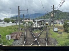 ■岡田駅

反対方面の列車と行き違い。

安全側線が無いので、25km/h以下の低速でホームに入線します。

このあたり、駅間が広いので、駅以外では割と速度を出しますが、保線状況があまり良くないのか、面白いほど揺れます。

iPhoneで動画を撮ってみましたが、手ぶれ補正が効いてこの程度の揺れ。ちゃんと座っていないと体が吹っ飛ばされそうな勢いです。

https://youtu.be/G1w0CaCwbZk
