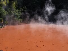 赤い!

・・・けど、赤池地獄の方が赤かったような・・・。
まっ、大きいしね～