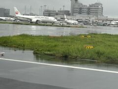 小雨の羽田空港到着

本日の機長様
とても親切なアナウンスで
乗客が不安にならない様、豆に状況報告が有り
台風の中でも安心して乗っていれました～
(お子様向けまであり、ほっこりしました^ ^)

