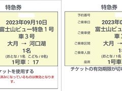 富士山ビューWEB特急券です。
車内アテンダントの検札後、使用前「チケットを使用する」から使用後「チケットの有効期限が切れています。」に替わります。