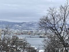 八幡坂　函館を代表する坂だそう。
この日も平日でしたが10人程が写真を撮っていました。

函館湾を一望する奥行きのある景色。冬の空と並木に積もる雪がまた乙な感じでした。