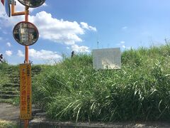 駒沢大学の敷地の、南東の角付近の道沿いに、宇奈根の渡しの掲示があります。
サイクリングロードの土手の下になる、目立たない場所でした。
周囲には雑草が多く、掲示がその中に埋まっているような状態でした。
