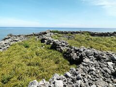 立原浜のすぐ隣り、「武士家跡」。
武士とサンゴの石塀ってなんかミスマッチ。
