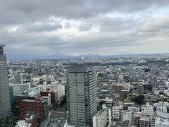 食後のデザートにずんだシェイクが飲みたかったのですが、こちらも結構並んでいたので諦め。

元々今日は松島か平泉に行く予定で仙台のホテルを予約してました。が、いずれも今回は訪問出来ず。
またの楽しみに取っておきます。

仙台の街に今から出かけるパワーは流石にないのでAERの31階の無料展望テラスから仙台市内を眺める事にしました。

仙台、都会ですね。どこに何があるか、よくわからないので早めに退散。