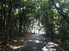 大井ふ頭中央海浜公園