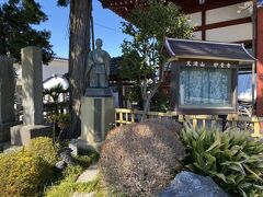 佐野駅の方に歩いて妙音寺に来ると日蓮聖人の幼少期の像がありました。幼名が善日麿というのですね。
