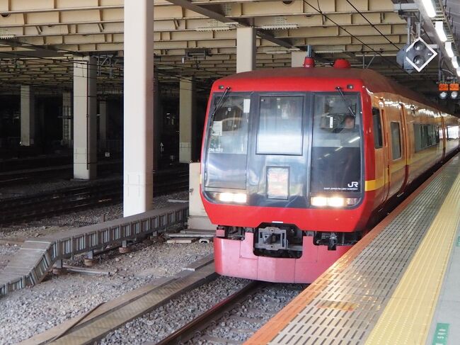 JR東武直通特急きぬがわ(新宿ー鬼怒川温泉)は初代成田 JR東武直通特急きぬがわ(新宿ー鬼怒川温泉)は初代成田