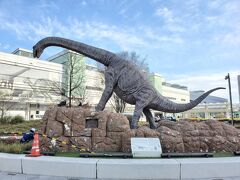 福井と言ったら恐竜、という事で福井の玄関となっている福井駅前には恐竜広場という事で巨大な恐竜像がありました。北陸新幹線敦賀延伸に向けて駅舎改良工事が進んでいますが、恐竜広場は２０１５年３月の金沢延伸の際にオープンしたそうです。
フクイザウルス、フクイラプトル、フクイティタンの等身大の像がこの恐竜広場にはいました。
