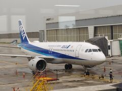 ANAの飛行機で金浦空港→羽田