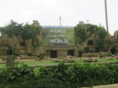 バードパラダイス後半は、再びバードショー「Wings of the World」からスタート。