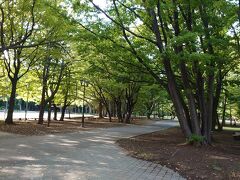 　円山公園の散策は初めてですが、結構歩きます。道も整備されていて中島公園や豊平公園と同じようにきちんと整備されています。他の公園と違うのは円山公園は野生のエゾリスを見れるところです。