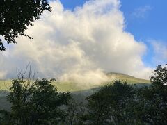 木の間から至仏山が見えるはずが雲の中。