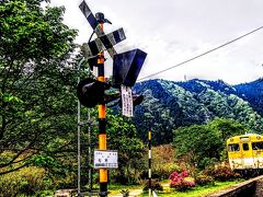 その一つが旧安野駅だ。遠目で見ると今でも気動車が走っているかのようにも感じる。こちらには急行用車両のキハ58が静態保存されている。そして周辺には桜の木やツツジなどが植えられており、季節に合わせてキハ58と一緒に撮影出来る。ここは