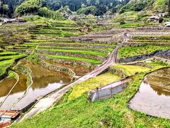 加計周辺でのもう一つ有名な観光地と言えば井仁の棚田だ。標高は400メートル以上の場所にある棚田で日本でも有数の棚田でもある。井仁の棚田はCNNでも日本の象徴的な田園風景としても紹介され、世界にも放映された。棚田に行くには公共交通機関で行くことができないのでレンタカーが必要になる。それでも十分価値があるので行ってみほしい。