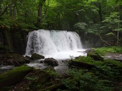 バスに揺られて奥入瀬渓流へ。