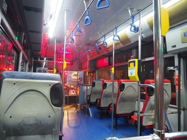 最終日なので、名残り惜しいので夫と私でバスで寧夏夜市へ行きました。<br />バスがよく分からなくて結構てこずった汗<br />母はこの間に足裏マッサージ行ってたらしい。