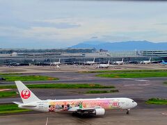 羽田空港ラウンジから…富士山とディズニーJAL機を眺め
アート旅にふさわしいアートな機体だ！