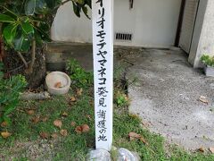 あの有名な！ この近くに鳥居がありました。沖縄には撮影がダメな神様もあるので、控えました。
