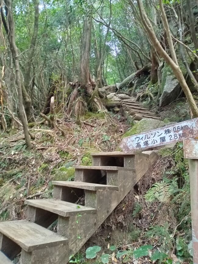 だれる 知らない 屋久島 127 屋久島一周 名所めぐり / Circling around Yakushima Island