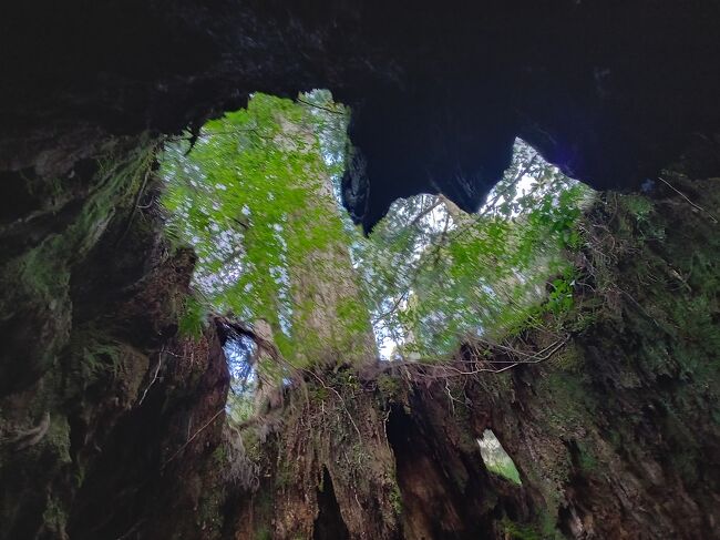 歩けるうちに！屋久島！(2日目)』屋久島(鹿児島県)の旅行記
