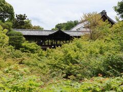 11時過ぎに東福寺へ到着しました。見えているのは通天橋です。この位置から撮った紅葉の時期の画像は、ネットや雑誌でもよく見ますね。紅葉もいいですが、新緑の時期もなかなか風情があります。