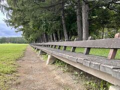 近くの公園にあった400mのながーいベンチ