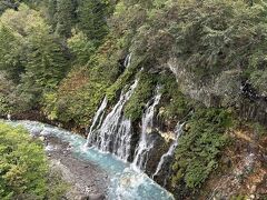 青い池の後は白ひげの滝へ。
ここの水も青かったです。