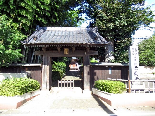 狭山市立博物館ですよ｜始祖鳥堂まふ（M.A.F.）