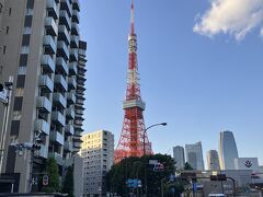 少し足をのばして東京タワーが見える場所へ。