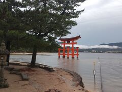 宮島も外せません。楽して平和公園から出てるフェリーで行きました。高いけど乗り継ぎないし早くて楽チン！前日に電話予約しました