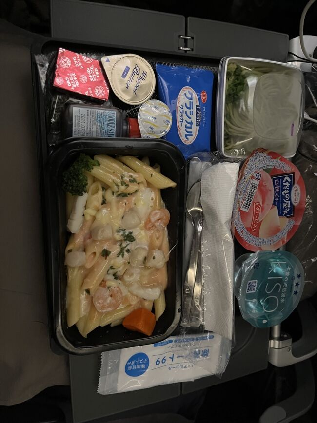シンガポール航空(SQ623・622)で行く2度目のシンガポール①~出国 シンガポール航空(SQ623・622)で行く2度目のシンガポール①~出国