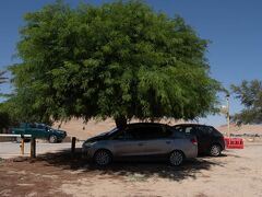 続いて世界遺産『ネゲヴ砂漠の香の道と都市群』のひとつ、マムシト遺跡。
職員の人たちがわずかな日陰に車を停めていました。そのきもちっがわかるほどに暑いネゲヴ砂漠です。