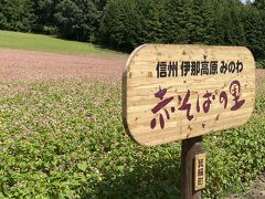 次はライブカメラでそこそこ開花してる様子が映ってた箕輪町の赤そば祭り会場へ。祭りはまだ先ですが幟が沢山立ててあったので迷わず到着。祭り期間外は仮設トイレの設置はなし。