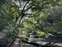 奥入瀬渓流のハイキング