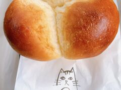 しまのねこ