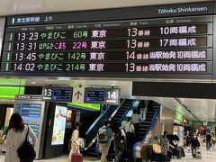 　乗車するのは13：45発やまびこ142号。始発で10両編成。東京行きの新幹線は、結構頻繁に出ています。はやぶさはＫ子の最寄り駅に止まらないというので。やまびこをネットで予約しました。