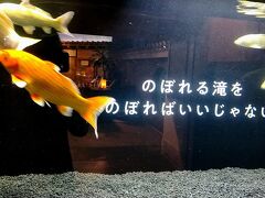 水槽は小さいのですが、魚君達はとってもキレイでした。

水槽内にはメッセージが書かれていました。