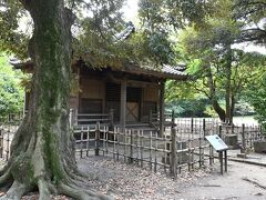 ●浜離宮恩賜庭園／旧稲生神社

その途中、古くよりこの地に鎮座する「旧稲生神社」の社殿があったものの、「スズメバチに注意」の表示が・・・。