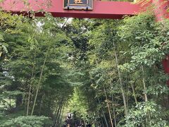 熱海の来宮神社へ
車で1時間程で到着しました。