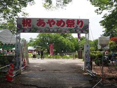 伊佐須美神社のあやめ苑（外苑）で行われた【あやめ祭り】