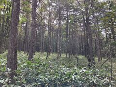 入笠すずらん野草公園を散策。
散策ガイドブックに色別でお花が紹介されているので、気になったお花の名前をチェックしながら楽しみます。