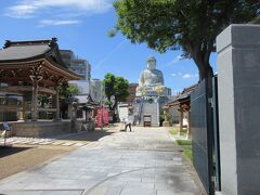 目的の能福寺に着きました。
兵庫大仏というのがあるそうで、なんでも日本三大大仏のひとつなのだとか。その大仏様が塀の外からでもおおきく見えました。