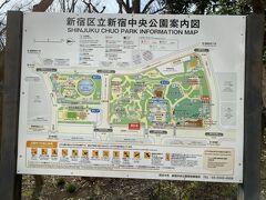 新宿中央公園に入ります