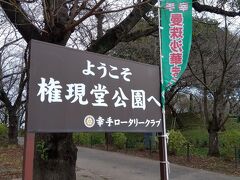 権現堂公園。