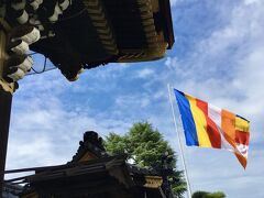 【 Nishi-Honganji Temple 】

西本願寺 阿弥陀堂門（重文）と秋風にたなびく仏旗

デュシタニをチェックアウト後，M君と西本願寺へ。青、黄、赤、白、橙を縦横に配した仏旗は，六金色旗（ろっこんしょくき／ろっこんじきき）とも呼ばれる世界共通の仏教の旗です。残りの一色は「輝き」であり，独自の色は配されていません。

◆重要文化財『本願寺阿弥陀堂門』［時代：江戸後期］（年代：1802年）2014(平成26)年，重文指定。