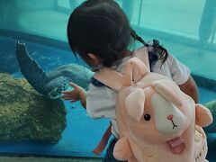 水族館 うみたまごにきたよヾ(●´∇｀●)ﾉ