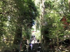 元箱根港から箱根神社まで徒歩10分かからないかな。ゆっくり芦ノ湖を眺めながら遊歩道的な所を歩いて行きました。