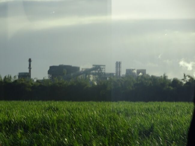 （車窓風景）サトウキビ工場（収穫の７０％は手作業。サトウキビは１０種類」あり、（花も栽培している。（輸出用です。））